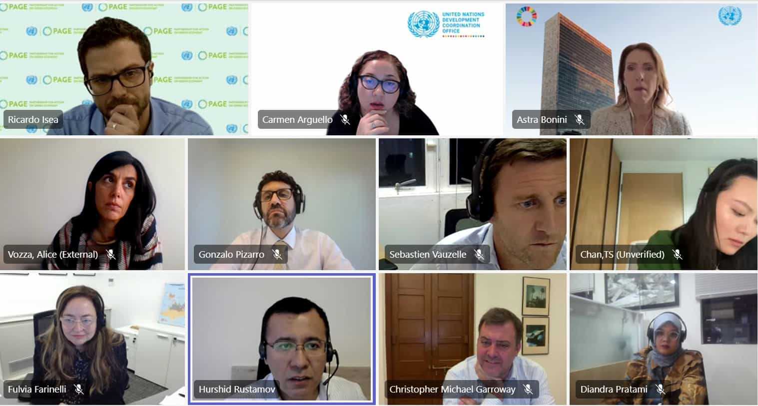 screenshot of the webinar with PAGE and DCO on just transition and green economy
