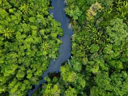 Preview of Guatemala Advances Green Fiscal Reform with PAGE Support