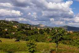Preview of Rwanda Embeds Green Growth into National Planning and Public Finance