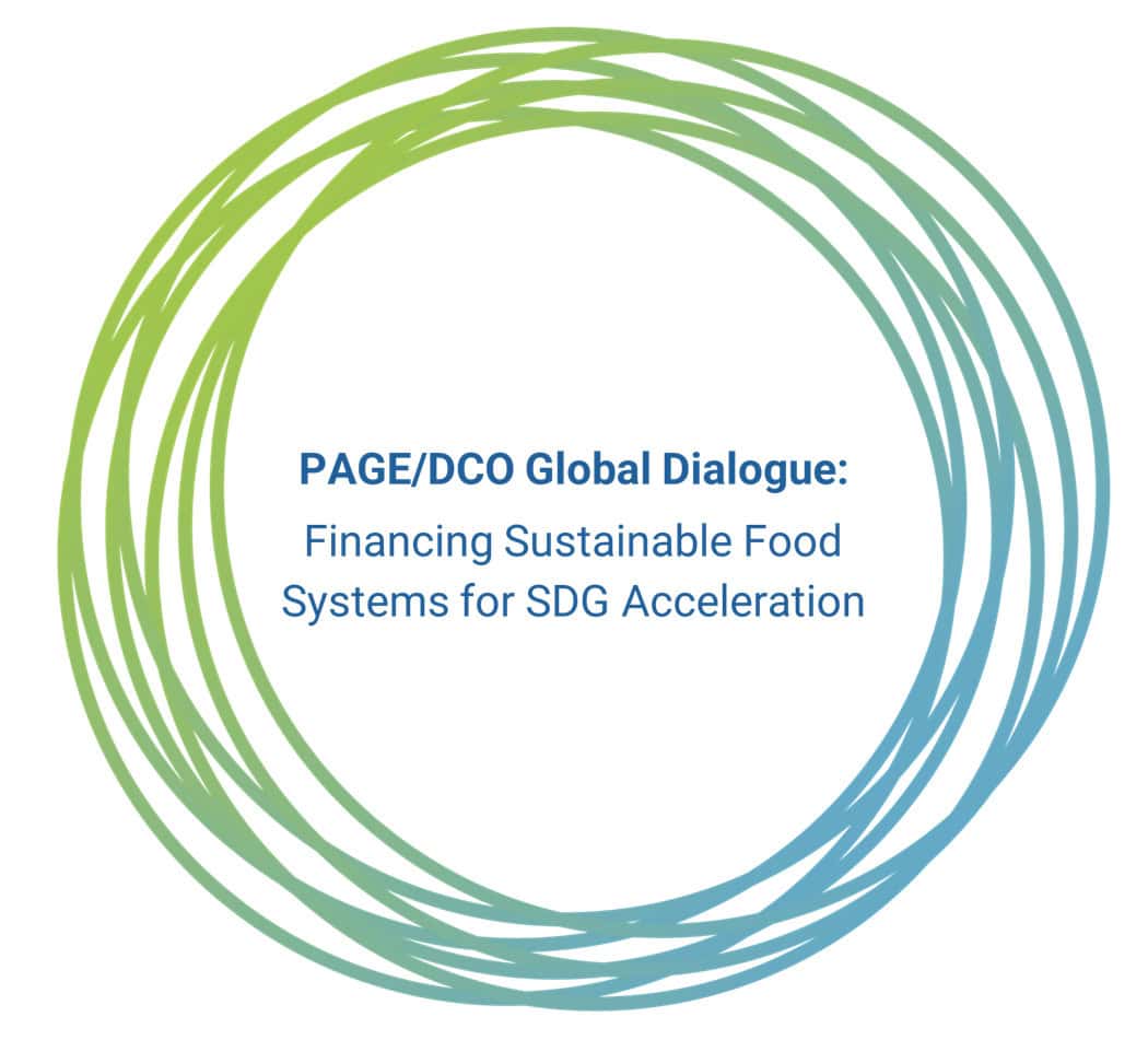 PAGE/DCO Global Dialogue: Financing Sustainable Food Systems for SDG ...